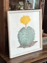 Load image into Gallery viewer, Original Art | Fernando Torm "Desert Flower" Succulent Lithograph | Framed & Signed | Number 80/100 16.5" tall x 15.25" wide