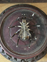 Load image into Gallery viewer, Vintage Navajo Native American Signed E. SPENCER Sterling Silver Black Onyx Spider Brooch