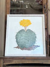 Load image into Gallery viewer, Original Art | Fernando Torm "Desert Flower" Succulent Lithograph | Framed & Signed | Number 80/100 16.5" tall x 15.25" wide