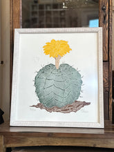 Load image into Gallery viewer, Original Art | Fernando Torm "Desert Flower" Succulent Lithograph | Framed & Signed | Number 80/100 16.5" tall x 15.25" wide