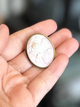 Load image into Gallery viewer, Pink Conch Shell Vintage Antique Hand Carved Blooming Rose Cameo 800 Silver Pendant & Brooch