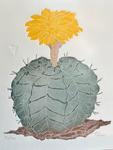 Load image into Gallery viewer, Original Art | Fernando Torm "Desert Flower" Succulent Lithograph | Framed & Signed | Number 80/100 16.5" tall x 15.25" wide