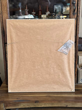 Load image into Gallery viewer, Original Art | Fernando Torm "Desert Flower" Succulent Lithograph | Framed & Signed | Number 80/100 16.5" tall x 15.25" wide