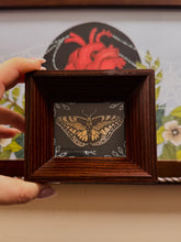 Load image into Gallery viewer, Three Moons Company
