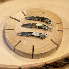 Load image into Gallery viewer, Mini Shell Pocket Knife Charms

